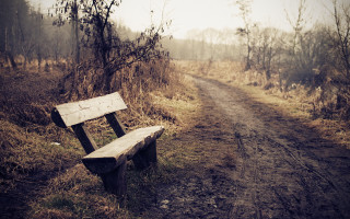 Wooden bench dirt road woods - liminal space free wallpaper for desktop