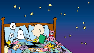 Cartoon person reading book bed 2 - charles schulz free wallpaper