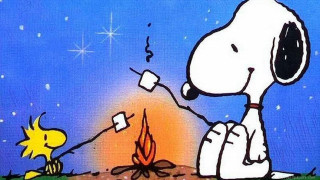 Snoopy dog campfire sitting lap 3 - lap free wallpaper