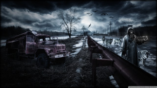 Man truck road forest birds - apocalyptic free wallpaper for desktop
