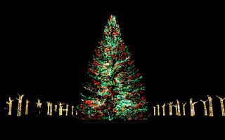 Christmas tree lit man standing - side and a man free wallpaper