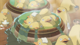 Yellow birds bucket water dog - a bucket free wallpaper