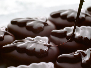 Chocolate covered donut spoon leaf - camille bombois free wallpaper