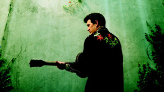 Man guitar green wall vines - vine free wallpaper