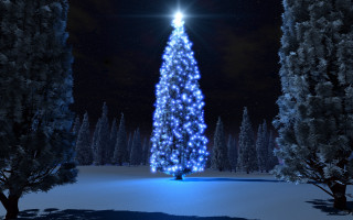 Large christmas tree lit snow 3 - the top free wallpaper