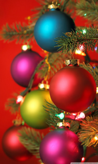 Christmas tree ornaments lights decorations - the branch of the tree free wallpaper