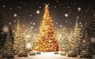 Christmas tree snow lighting falling - a christmas tree free wallpaper