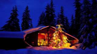 Christmas tree cabin snow night 2 - atmospheric free wallpaper