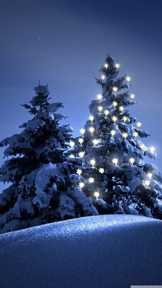 Snowy landscape christmas tree full - full free wallpaper for mobile