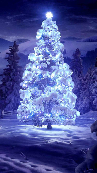 Lit christmas tree snowy landscape - ernest william christmas free wallpaper for mobile