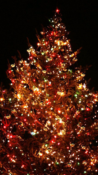 Large christmas tree lights night - free light wallpaper for mobile