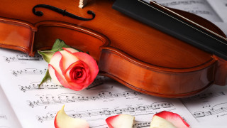 Violin rose sheet music notes - beautiful composition free wallpaper