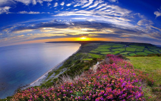 Sunset grassy hill flower water - grassy free wallpaper