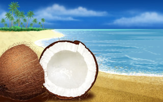 Coconut beach sky ocean palm - a blue sky and ocean in the background free wallpaper