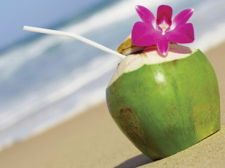 Green coconut drink pink flower - a pink flower free wallpaper for desktop
