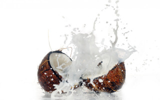 Coconut splashing milk water white - food photography free wallpaper for desktop