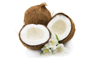 Coconut flower half side image - white background free wallpaper