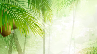 Green palm tree fruit illustration - jungle free wallpaper