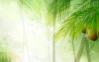 Green palm tree white background - jungle free wallpaper