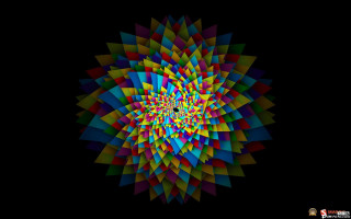 Colorful flower black background white - a colorful flower free wallpaper