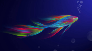 Colorful fish floating bubbles blue - mystical free wallpaper for desktop