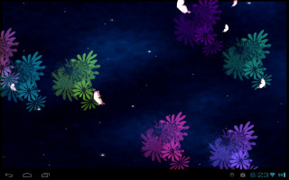 Flower arrangement night sky stars - chiho aoshima free wallpaper