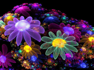 Flowers dark lights black background - fluorescent free wallpaper