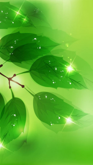 Green leaves water drops environmental - evariste vital luminai free wallpaper for mobile