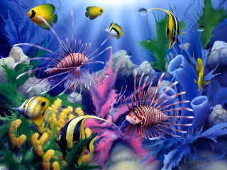 Sea life fantasy coral reef - fish and corals free wallpaper