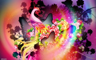 Colorful bird flowers rainbow background - a rainbow in the middle free wallpaper