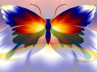 Colorful butterfly blue yellow red - center free wallpaper