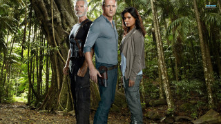 Forest group people blue shirt - the background and a man free wallpaper