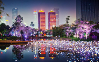 City skyline lake trees lights - interactive free wallpaper