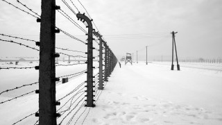 Fence barbed wire telephone pole - adolf born free wallpaper