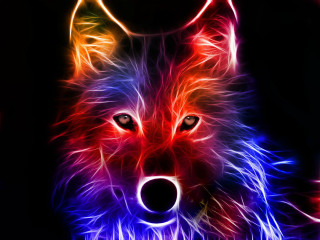 Wolf glowing eyes black background 2 - a wolf free wallpaper