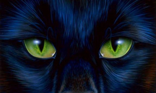 Black cat green eyes glowing - a black cat free wallpaper