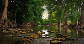 River rocks trees water cloudy 3 - river free wallpaper for desktop