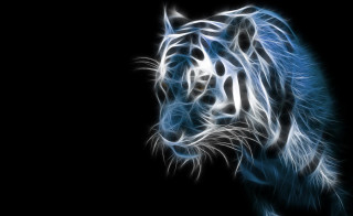 Blue white tiger glowing magic - light effect free wallpaper