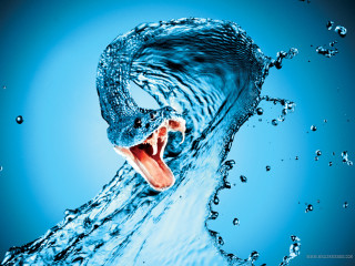 Large blue wave open mouth - clear free wallpaper for desktop