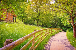 Wooden fence path park trees - depth of field free wallpaper