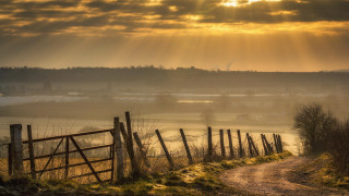 Dirt road fence field sunbeam 2 - grass and bushes free wallpaper