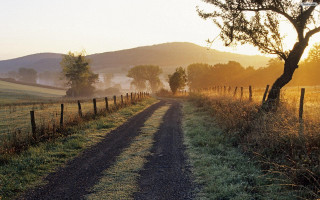 Dirt road fence tree field - eric deschamps free wallpaper