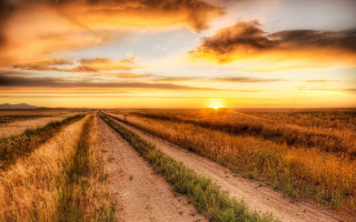 Dirt road sunset grass field 2 - a dirt road free wallpaper