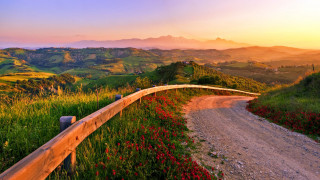 Dirt road hillside flowers sunset - a lush green hillside free wallpaper