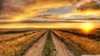 Dirt road field sunset cloudy 3 - the distance behind free wallpaper