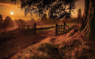 Gate tree dirt path sunset - a dirt path free wallpaper