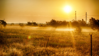 Field fence trees background sun - the fog free wallpaper