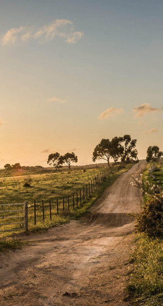 Dirt road fence field sunset - australian tonalism free wallpaper for mobile