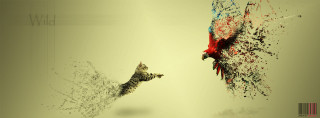 Cat chasing bird surreal digital - its beak free wallpaper
