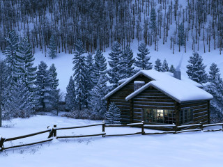 Snowy woodland cabin fence baretrees - unreal engine free wallpaper